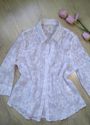 Білосніжна прозора блуза damart жатка/біла блузка жіноча прита...