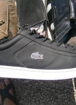 Кеди lacoste carnaby evo оригінал