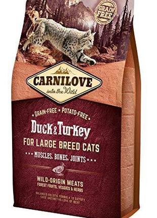 Корм для котов Carnilove Cat Large Breed Duck and Turkey 6кг