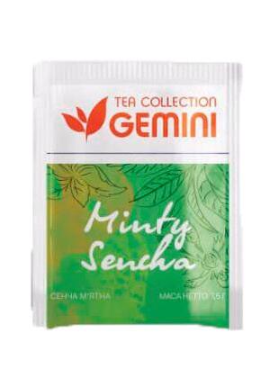Чай зелёный Gemini Tea Collection Minty Sencha Сенча мятная па...