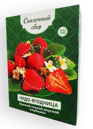 Диво-ягодя Казковий збір - набір для вирощування клубники на п...