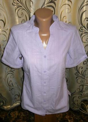 Классическая женская базовая рубашка ewm