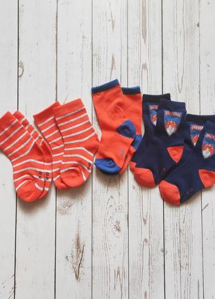 Носки шкарпетки 19/22 12-24 месяца kuniboo для мальчика хлопчика