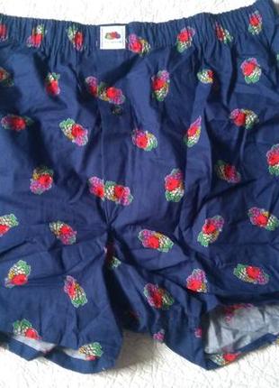 Труси сімейки чоловічі fruit of the loom