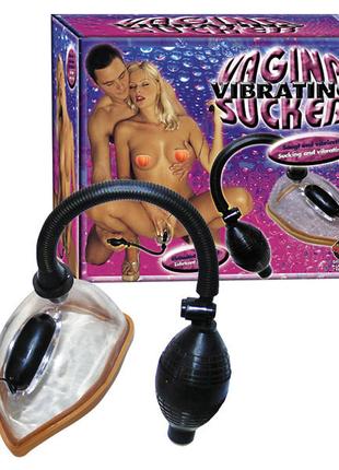 Вакуумная вагинальная помпа с вибрацией