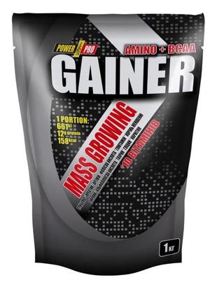 Гейнер Power Pro Gainer, 1 кг Ваніль