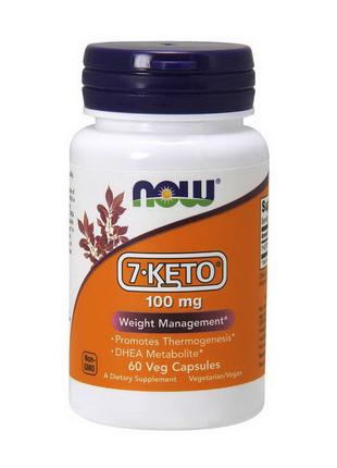 Управление весом 7 кето Now Foods 7-KETO 100 mg 60 вег капсул