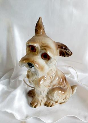 Статуэтка гдр фарфоровая светильник собака