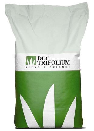 КЛЕВЕР (декоративный) белый ползучий DLF Trifolium мешок 25 кг