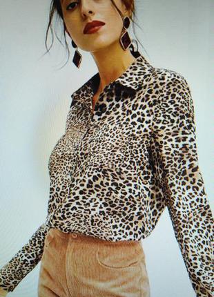 Леопардовая блуза fiondotinta, италия! размер 38/s
