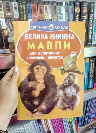 Велика книжка. Мавпи