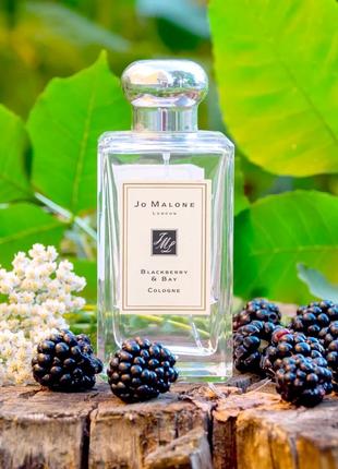 Jo malone blackberry & bay оригинал распив аромата затест 3 мл