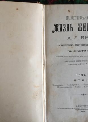 "Життя тварин" А.Е.Брема в 10-х томах.Том VI.Птиці