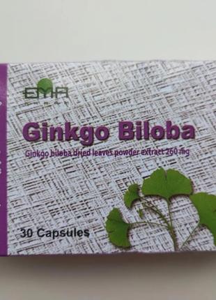 Ginkgo Biloba — поліпшення пам'яті, посилення інтелекту