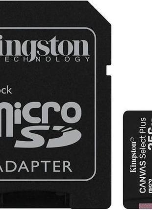 Карта памяти Kingston microSDHC 256GB Canvas Select+ A1 (W100/...