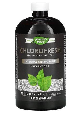 Nature's Way, Chlorofresh, рідкий хлорофіл, без добавок, 480 мл