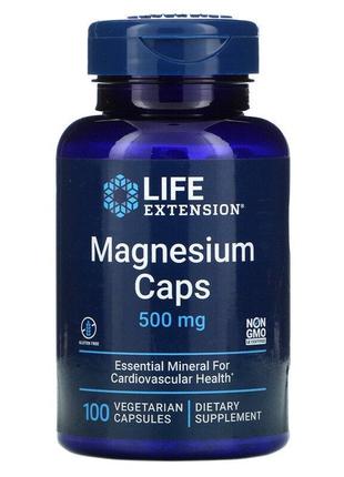 Life Extension, Магний в капсулах, 500 мг, 100 вегетарианских ...