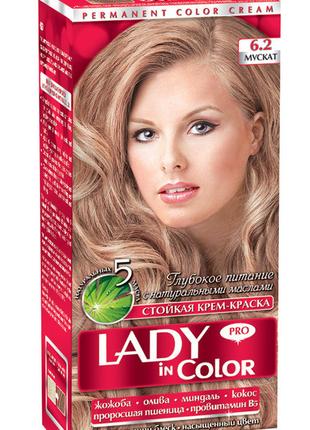 Lady in color фарба для волосся №6.2 Мускат