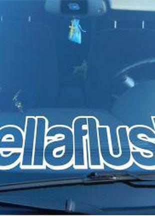 Виниловые наклейки на авто " HELLAFLUSH " 60х13 см