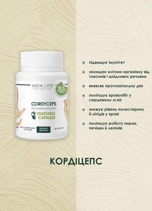 Гриб Кордицепс для коррекции иммунитета \ Cordyceps 60 капсул ...