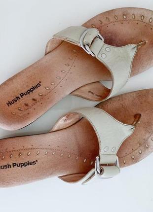 Шлепки шлепанцы кожаные р.38/39 hush puppies