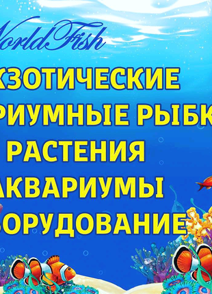 Аквариумные рыбки, большой выбор аквариумных рыбок а Харькове