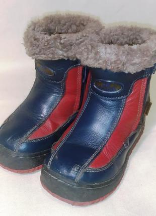 Детские зимние ботинки, красно-синий, 25 размер ( 16 см )