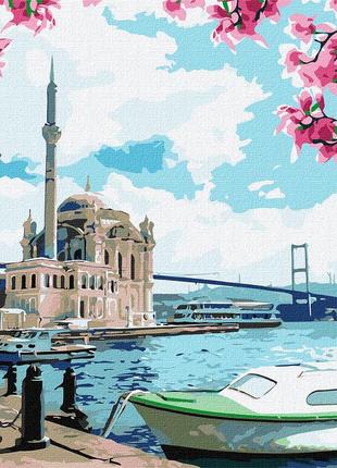 Картина по номерам 40×50 см. Турецкое побережье. Идейка. КНО2757