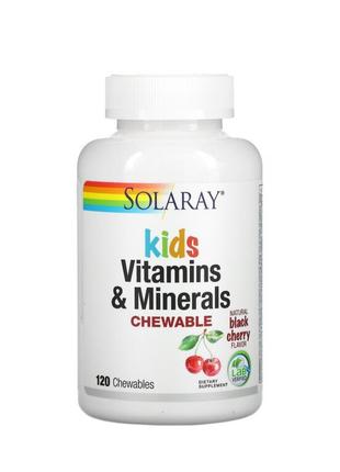 Solaray, Витамины и минералы для детей, с натуральным вкусом я...