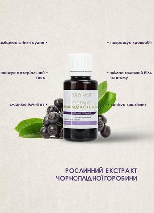 Экстракт Черноплодной рябины (Аронии) 30 мл для улучшения кров...