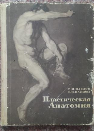 Павлов Г.М. Пластична анатомія. - М.: Искусство, 1967