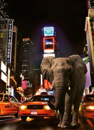 Фотообои флизелиновые 3D город 368х254 см Wizard+Genius Слон в...