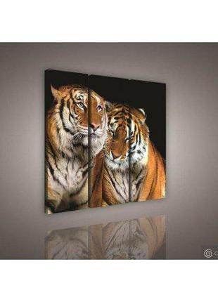 Модульная картина на холсте 3x30x80 см Два тигра (PS131S6)