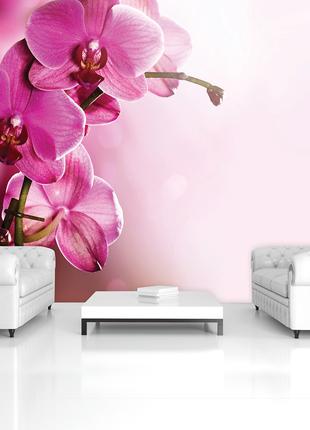 Модные 3Д фото обои в зал цветы 368х254 см Орхидея на розовом ...