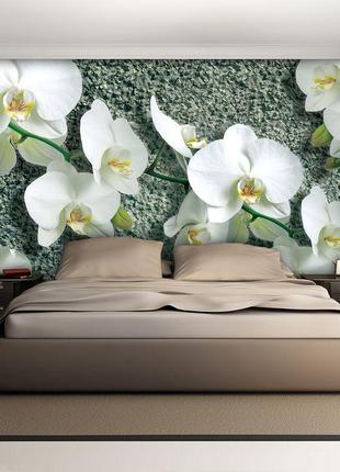 Флизелиновые 3D фотообои в гостиную цветы 416x254 см Белые орх...