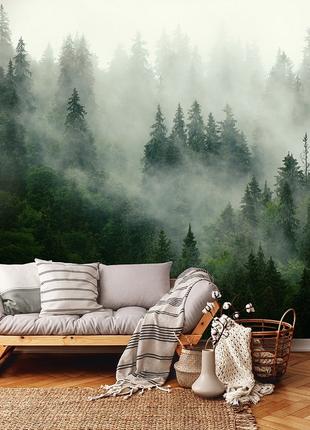 Пейзаж фото обои 3D 368 x 254 см Природа - Зеленый туманный ле...