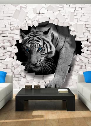 3д фото обои белые 254x184 см Тигр выходит из кирпичной стены ...