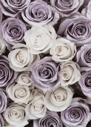 Фотообои флизелиновые 3D цветы 368х254 см Пастельные розы (162...