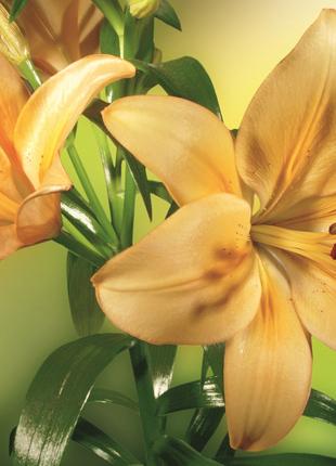 Фотообои флизелиновые 3D Цветы 375х250 см Желтые лилии (MS-5-0...
