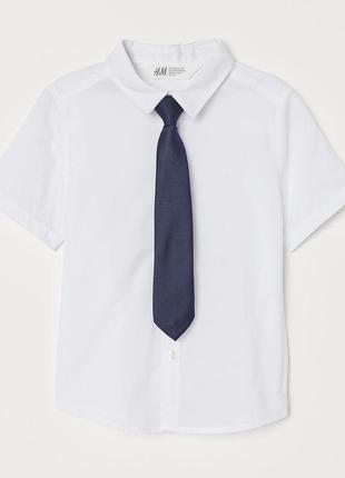 Сорочка з краваткою на короткий рукав для хлопців 4-5 років ві...