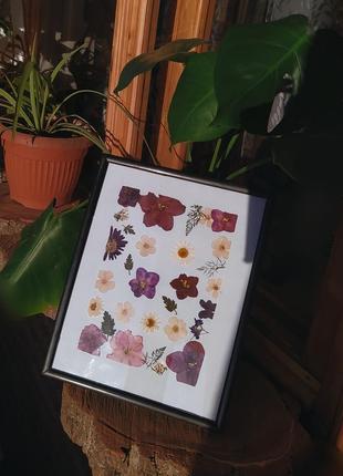 Панно гербарий в стекле цветы в картине креатив сухоцветов