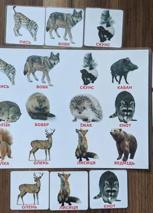 Лото з картками домана лісові тварини