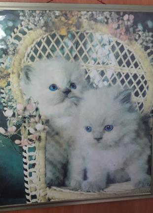 Милая картина "два котёнка"