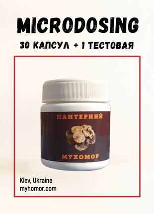 Пантерний мухомор, капсули 30 шт. по 0.3 г. Курс на 15 днів