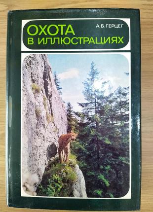 Книга А.Б. Герцег. Охота в иллюстрациях б/у