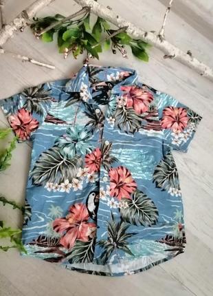 Рубашка для моря в морському ⚓ тропічному стилі