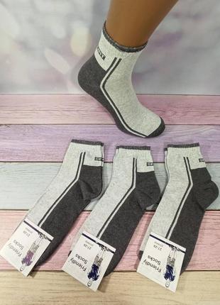 Шкарпетки чоловічі friendly socks середні стрей