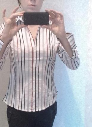 Хлопковая блуза батник рубашка женская деловой стиль размер l-...