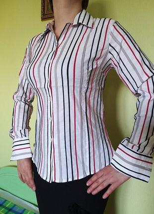 Бавовняна блуза батник сорочка жіноча діловий стиль розмір l-x...