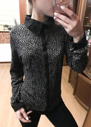 Рубашка-блузка леопардовая